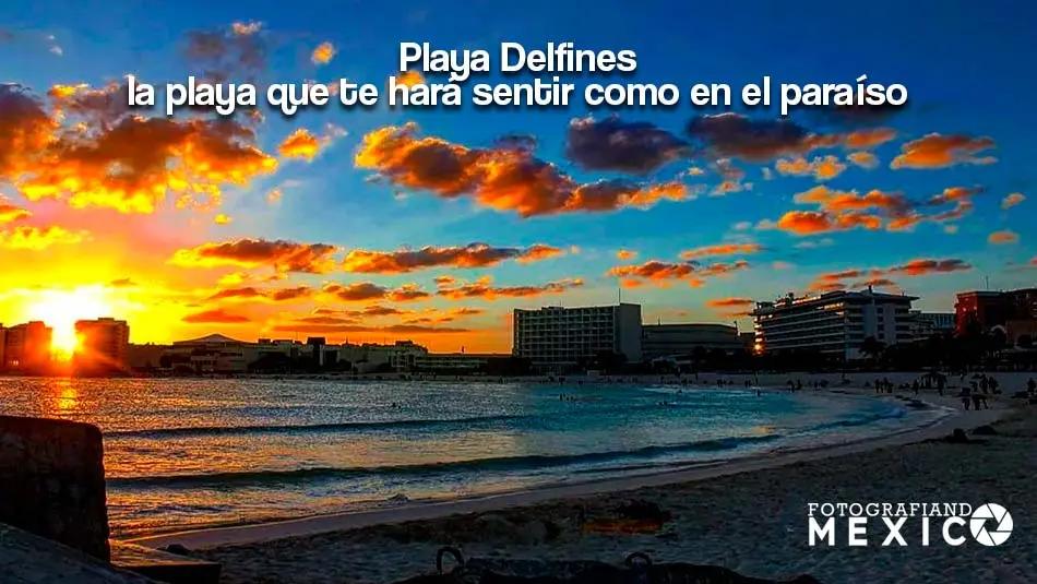 Playa Delfines La Playa Que Te Har Sentir Como En El Para So