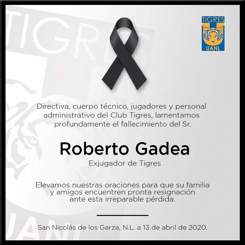 Muere Roberto Gadea exjugador leyenda de los Tigres de la UANL