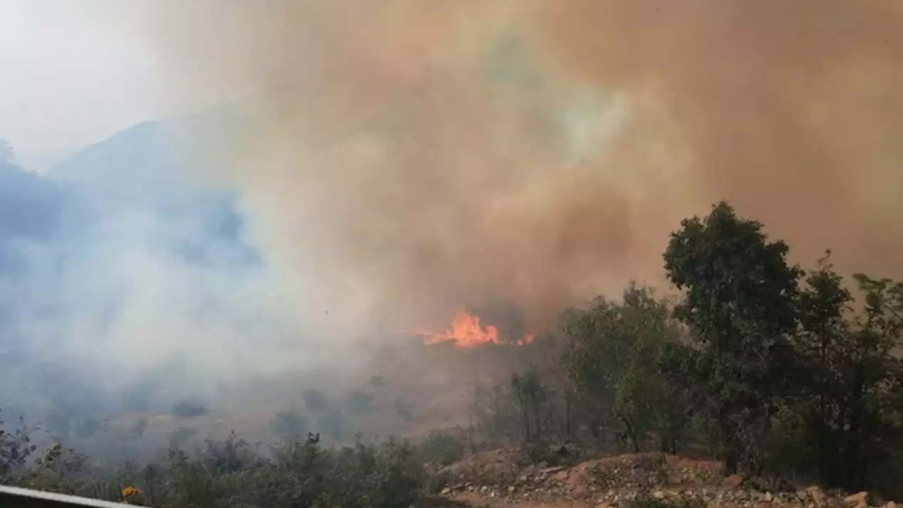 Oaxaca sigue en llamas, mueren 9 personas por incendios forestales