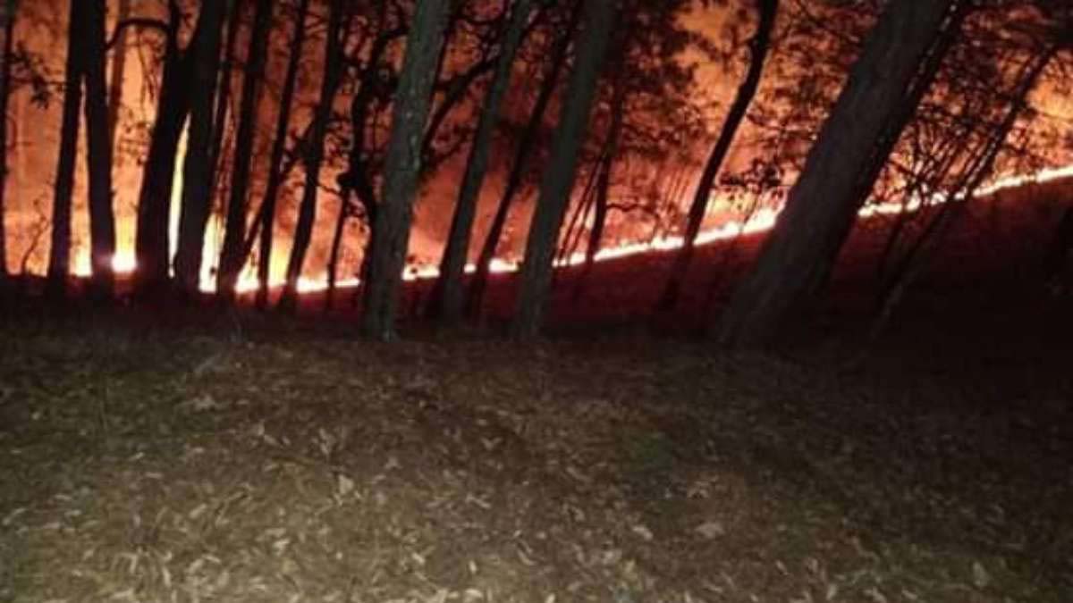 El 70 por ciento de los incendios forestales en Oaxaca están controlados, informó la Conafor. Además nueve personas murieron por las llamas.