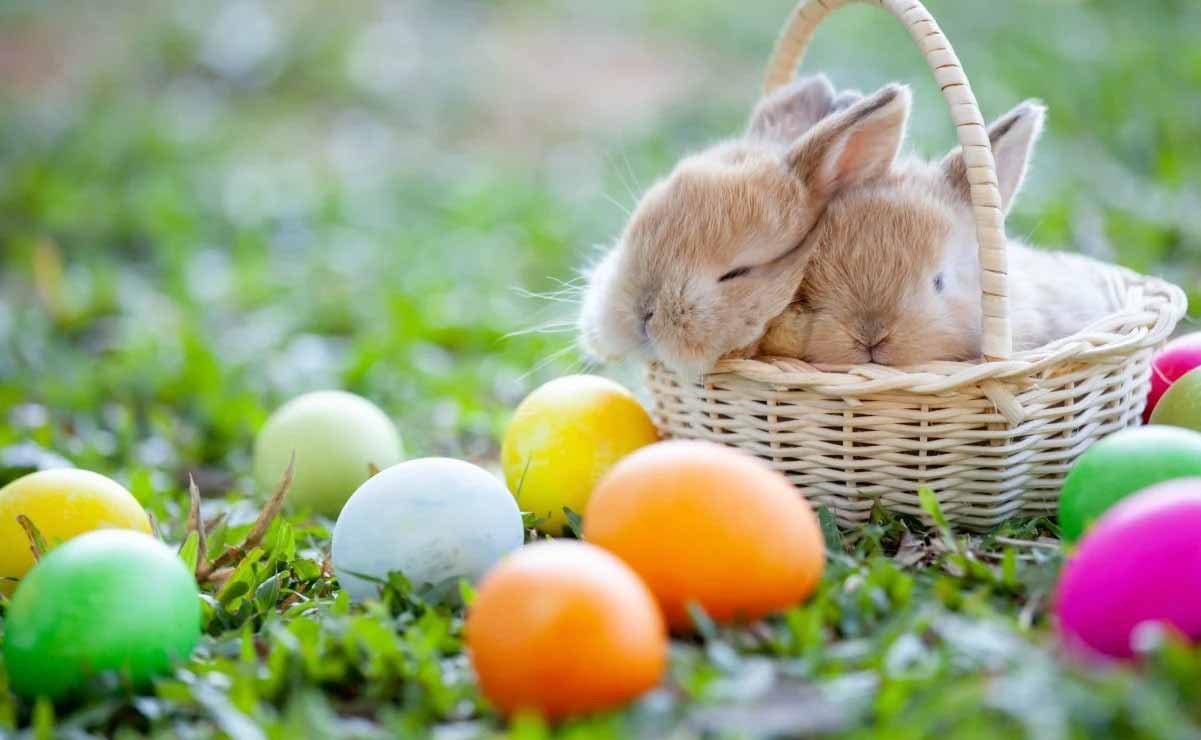 El huevo es un símbolo de la Pascua que representa el inicio de la vida y la fertilidad. Para los cristianos, simboliza la Resurrección de Jesús Cristo y la esperanza de una nueva vida.