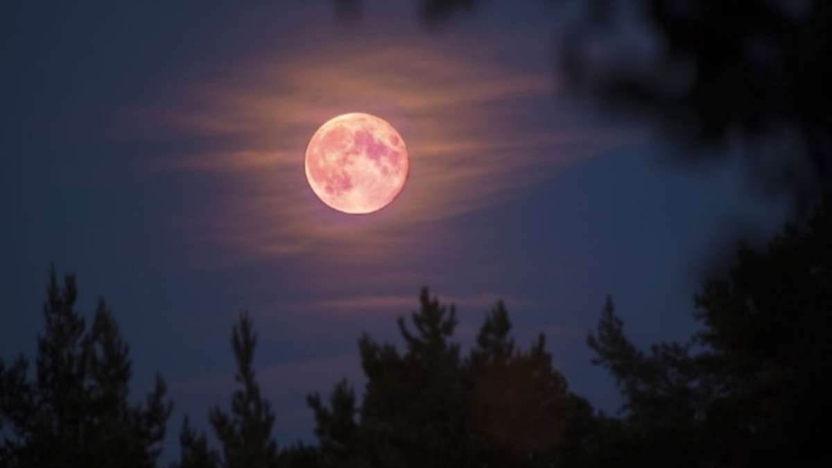 ¿Qué es y cómo ver la superluna rosa de abril? A qué hora verla en México