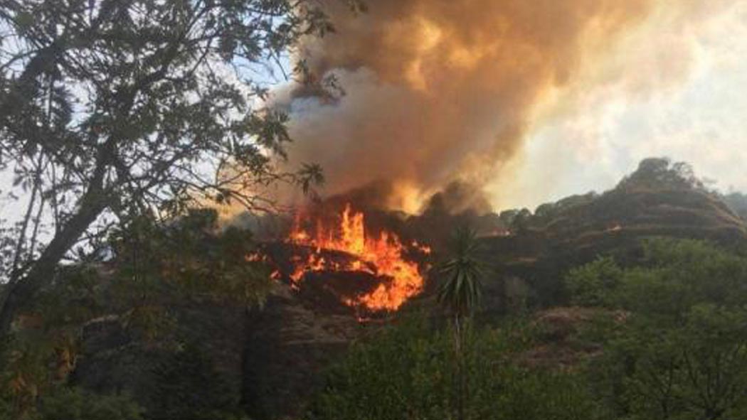 La Procuraduría Federal de Protección al Ambiente (Profepa) presentó una denuncia ante la Fiscalía General de la República contra una usuaria de Tik Tok por presuntamente provocar un incendio en el Parque Nacional del Tepozteco.