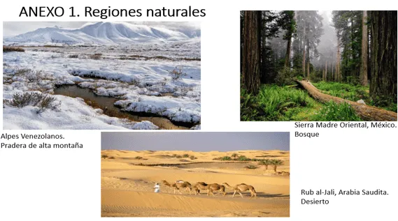 Anexo 1 regiones naturales