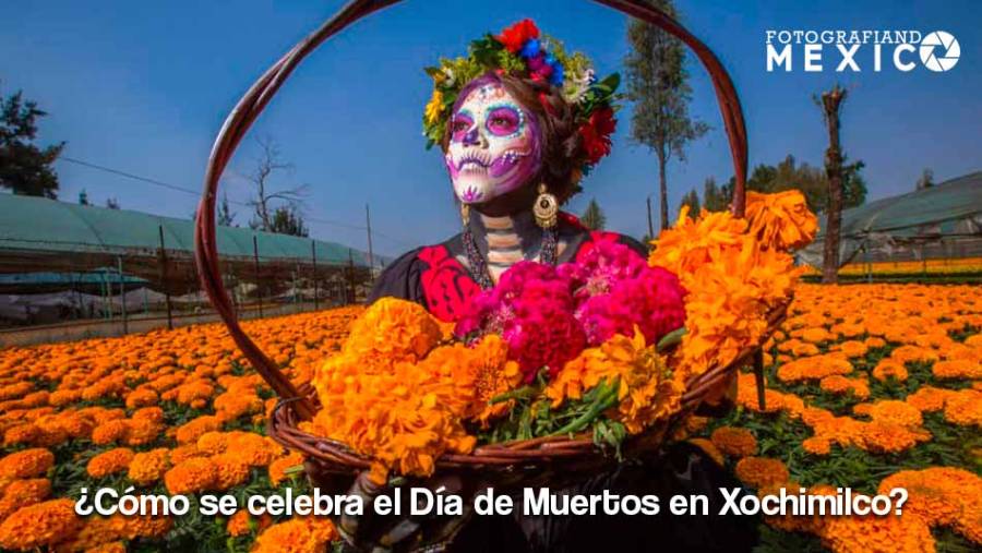 ¿Cómo se celebra el Día de Muertos en Xochimilco?