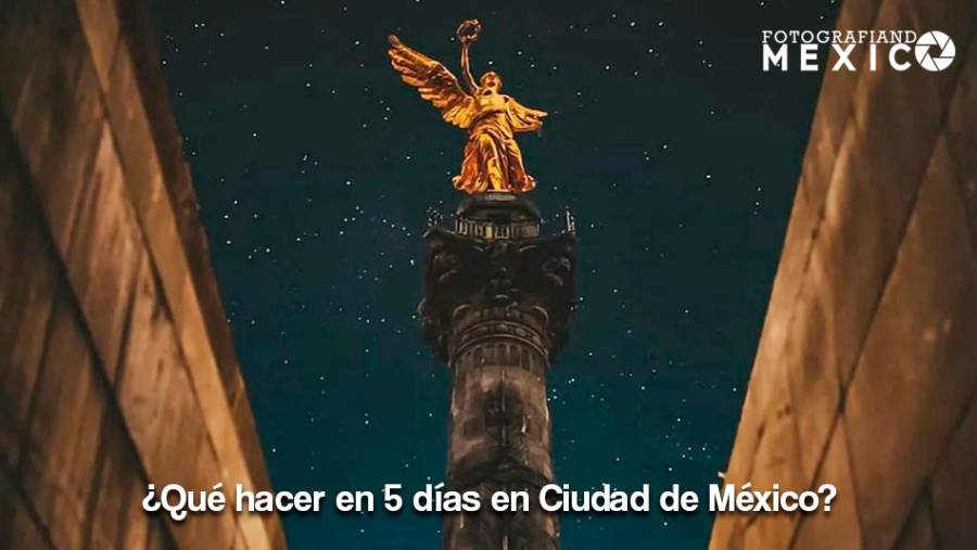 ¿Qué hacer en 5 días en Ciudad de México?
